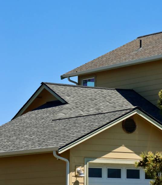 Best Roof Moss and Algae Removal  in Loch Sheldrake, NY